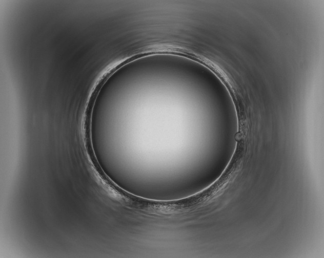 X0000116880995200912221422