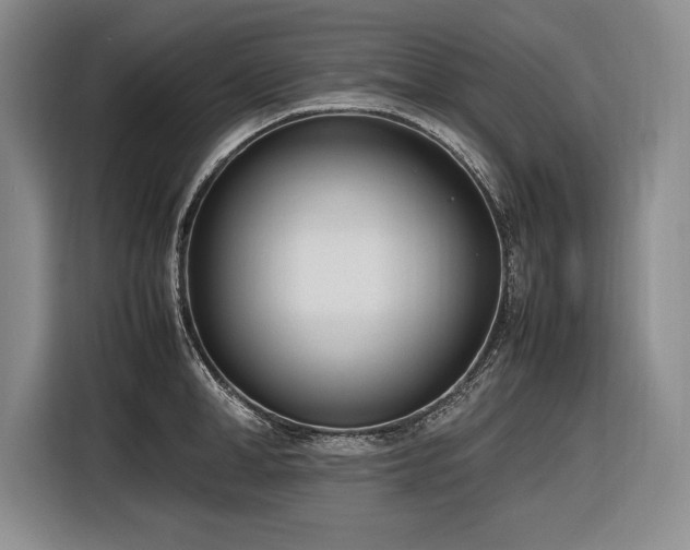 X0000116880998200912221422