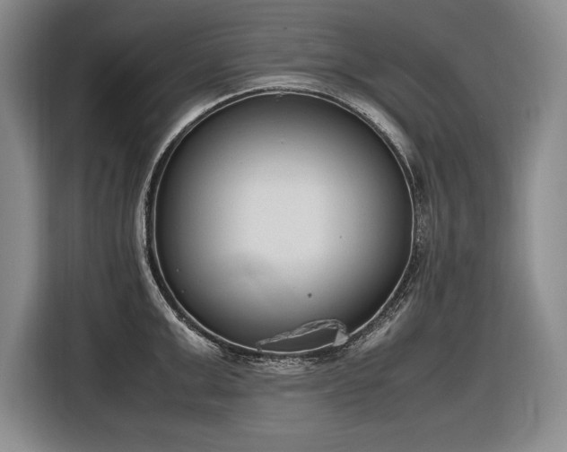 X0000116880999200912221422