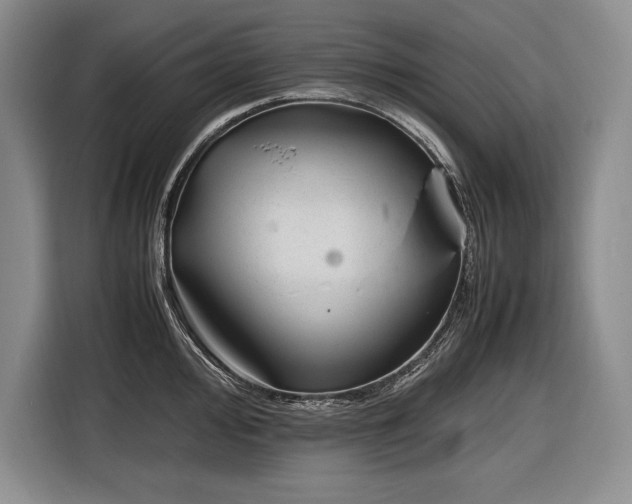 X0000116881000200912221422
