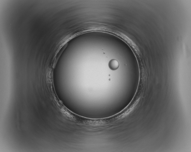 X0000116881001200912221422