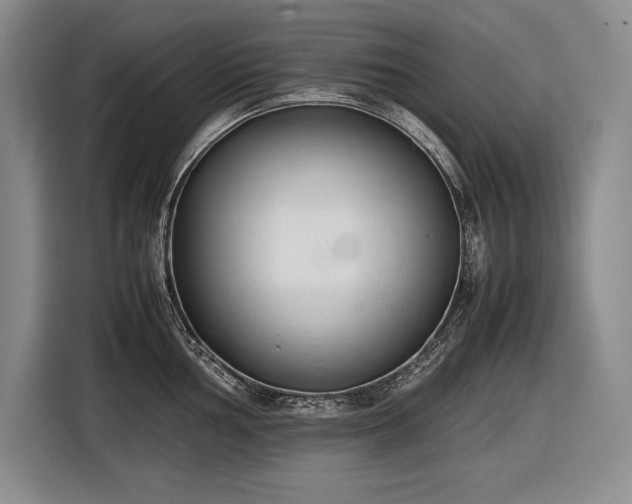 X0000116881002200912221422