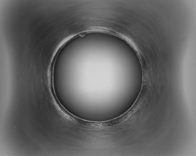X0000116881003200912221422