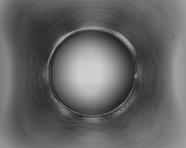 X0000116881004200912221422