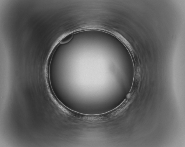 X0000116881005200912221422