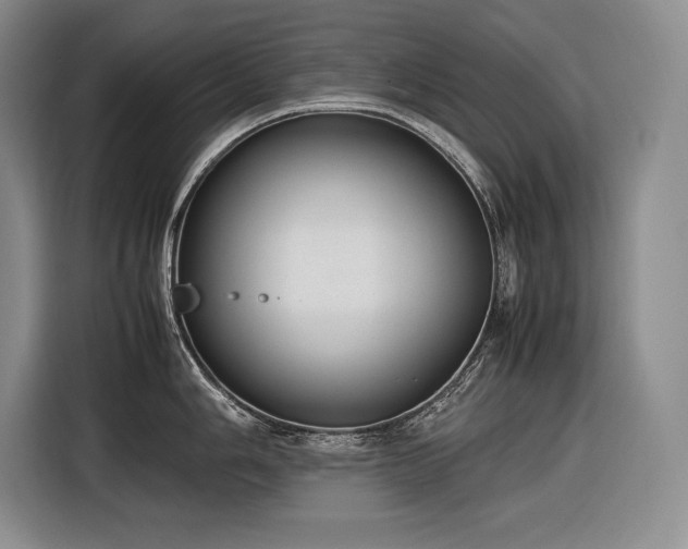 X0000116881006200912221422