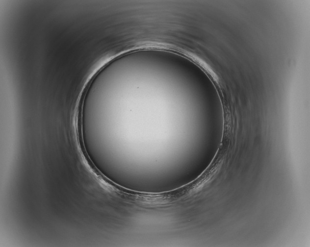 X0000116881007200912221422