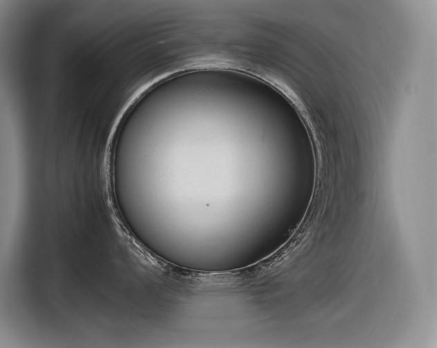 X0000116881008200912221422