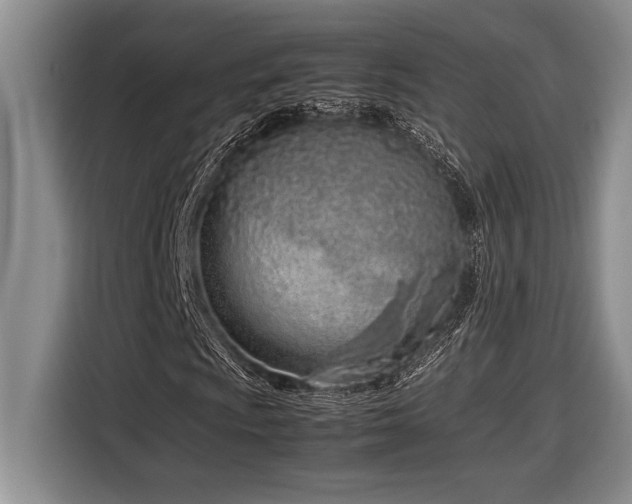X0000116881009200912221421