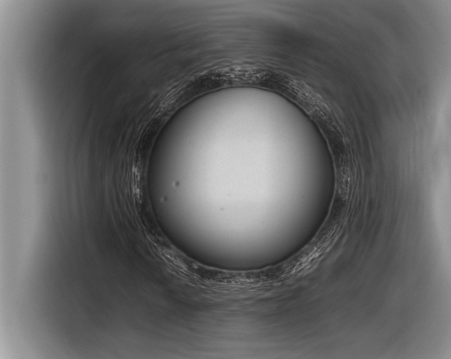 X0000116881010200912221421