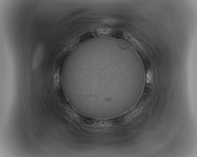 X0000116881011200912221421