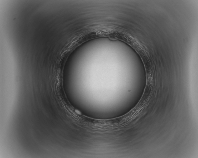 X0000116881012200912221421