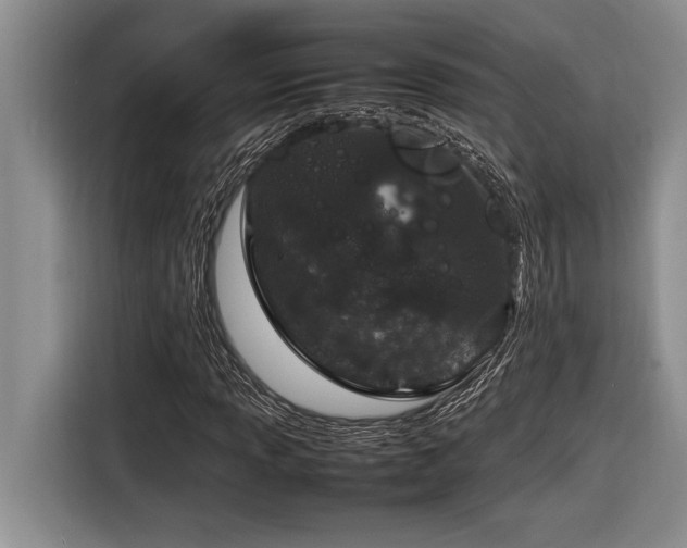 X0000116881013200912221421