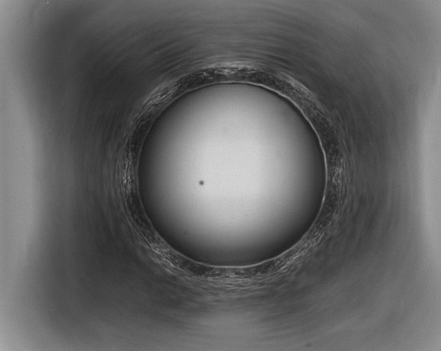 X0000116881014200912221421