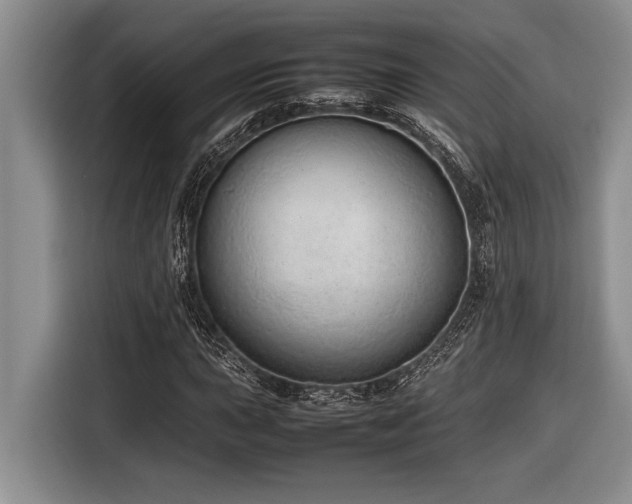 X0000116881015200912221421