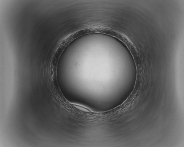 X0000116881016200912221421