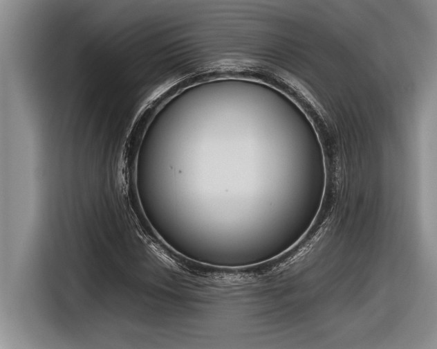 X0000116881018200912221421