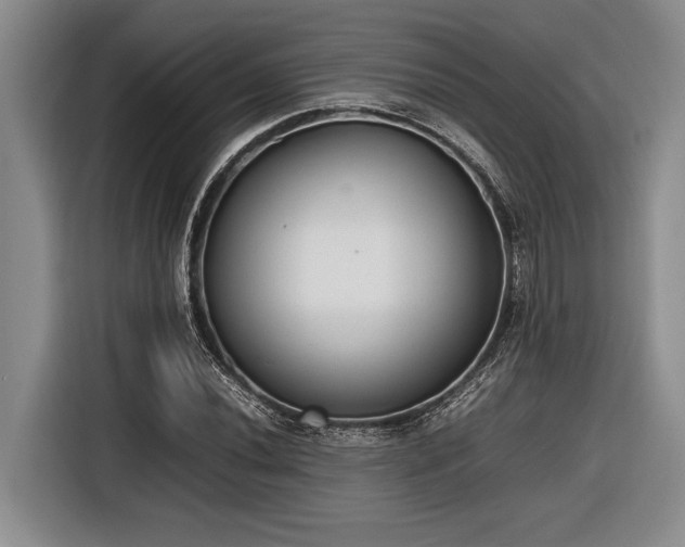 X0000116881020200912221421