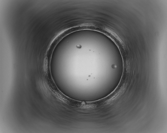 X0000116881021200912221421