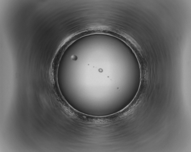 X0000116881022200912221421
