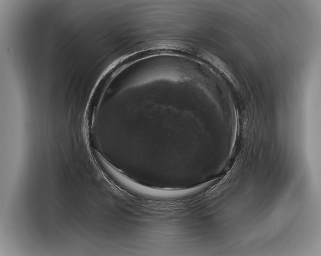 X0000116881024200912221421