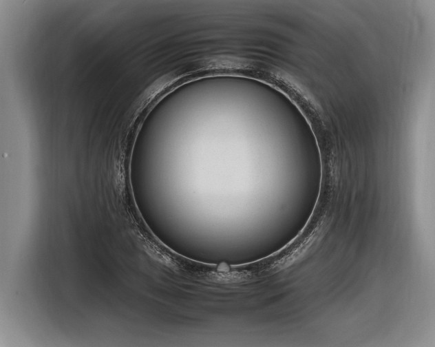 X0000116881025200912221421