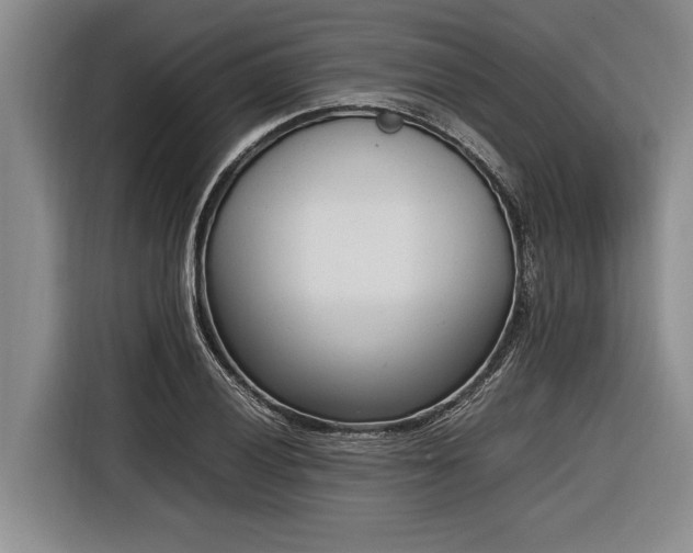X0000116881028200912221421