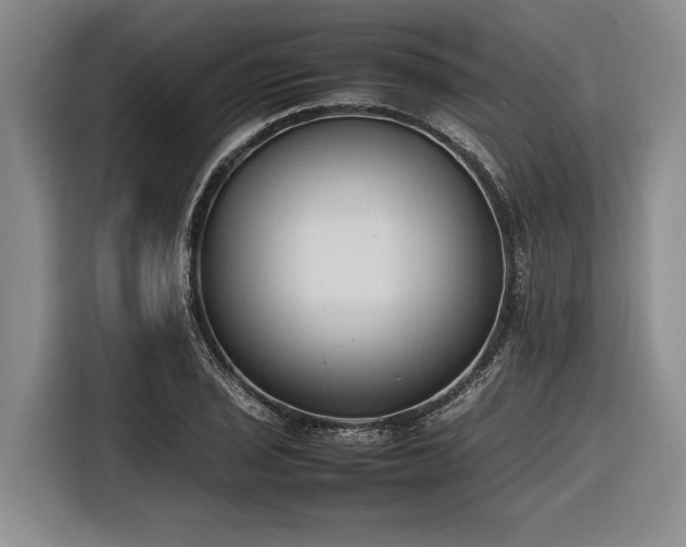X0000116881029200912221421