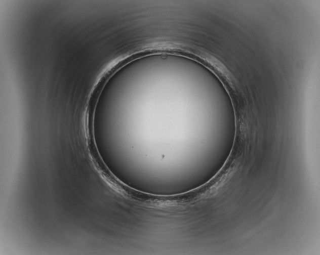 X0000116881030200912221421