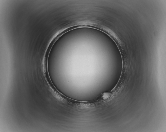 X0000116881032200912221421