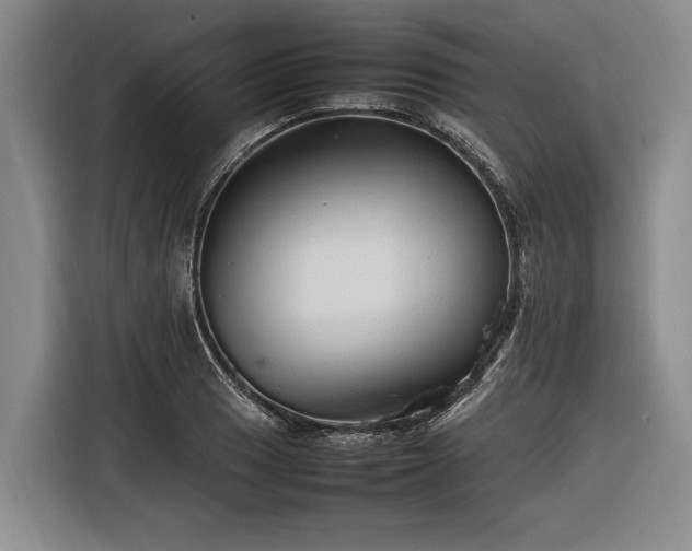 X0000116881033200912221421