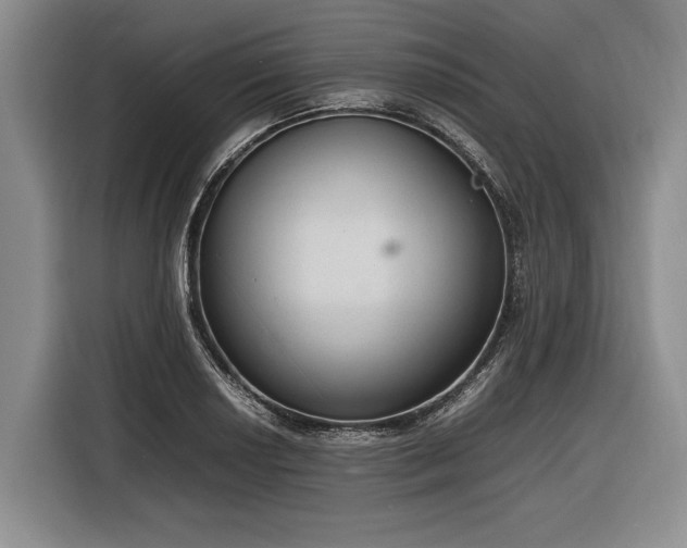 X0000116881034200912221421