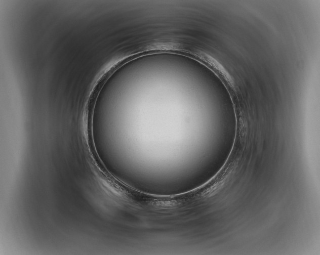 X0000116881035200912221421