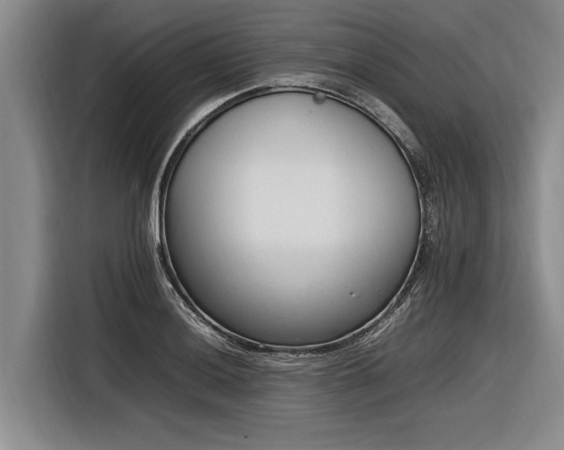 X0000116881036200912221421
