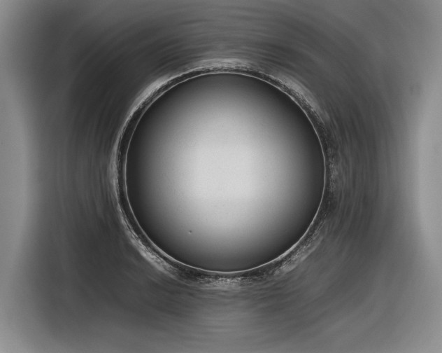 X0000116881038200912221421