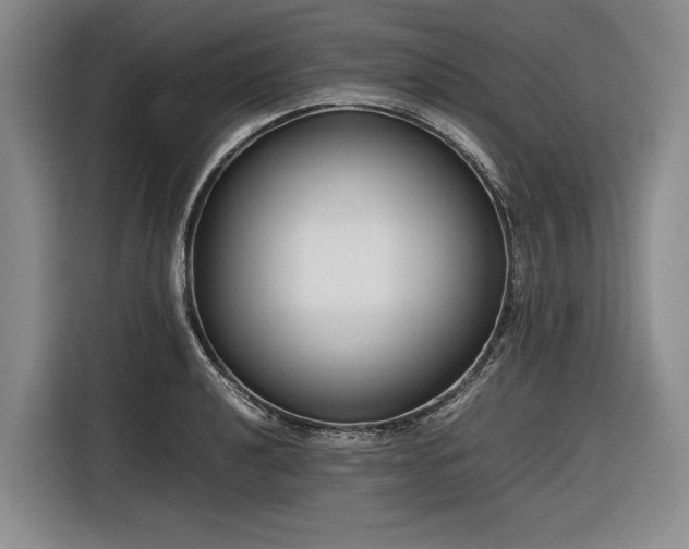 X0000116881040200912221421