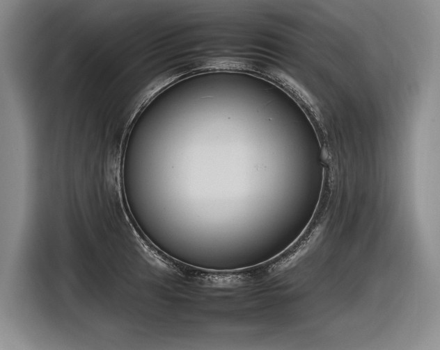 X0000116881041200912221421