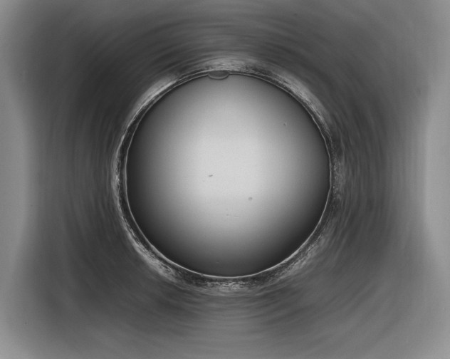 X0000116881042200912221421