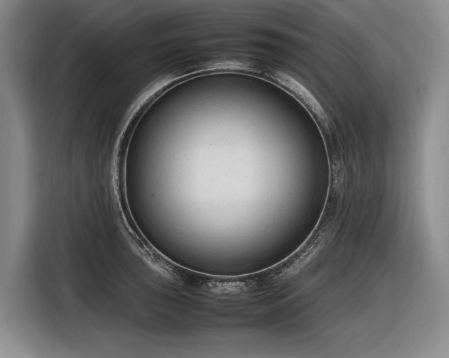X0000116881043200912221421