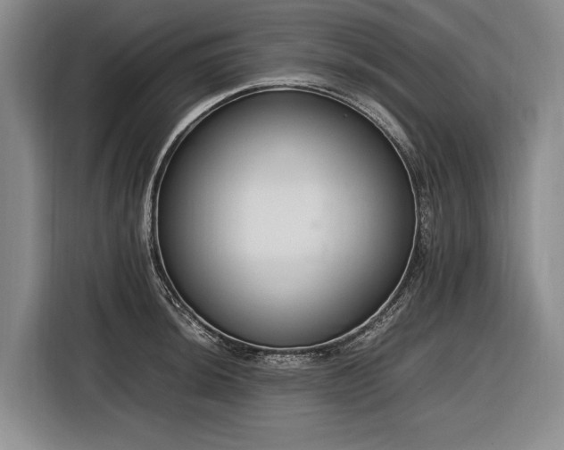 X0000116881044200912221421