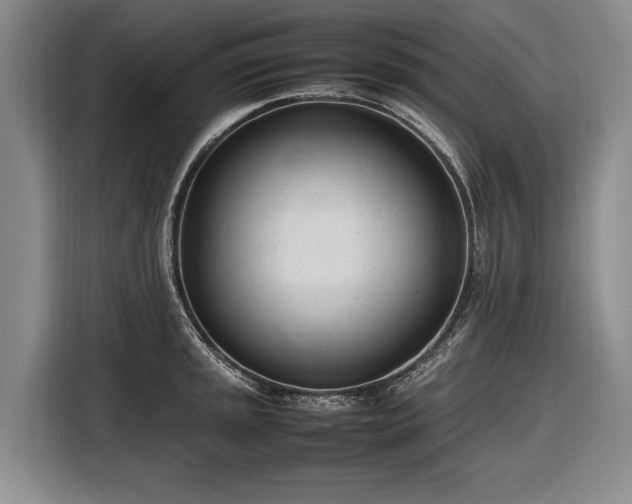 X0000116881045200912221421