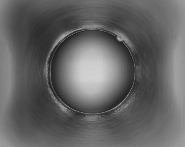X0000116881046200912221421