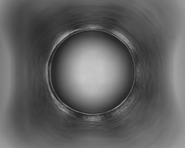 X0000116881047200912221421