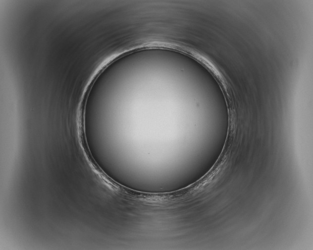 X0000116881048200912221421