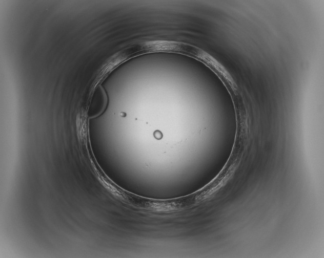 X0000116881049200912221422