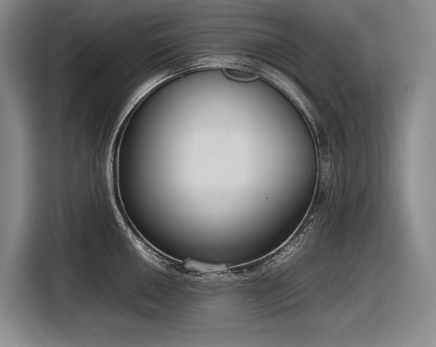 X0000116881050200912221422