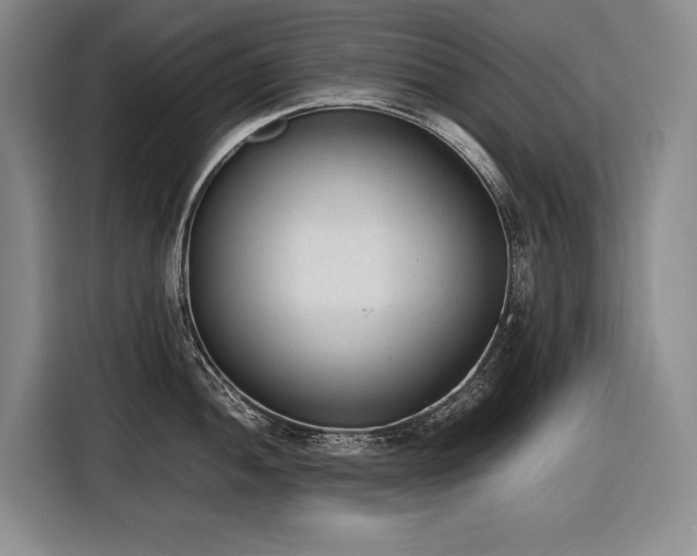 X0000116881052200912221422