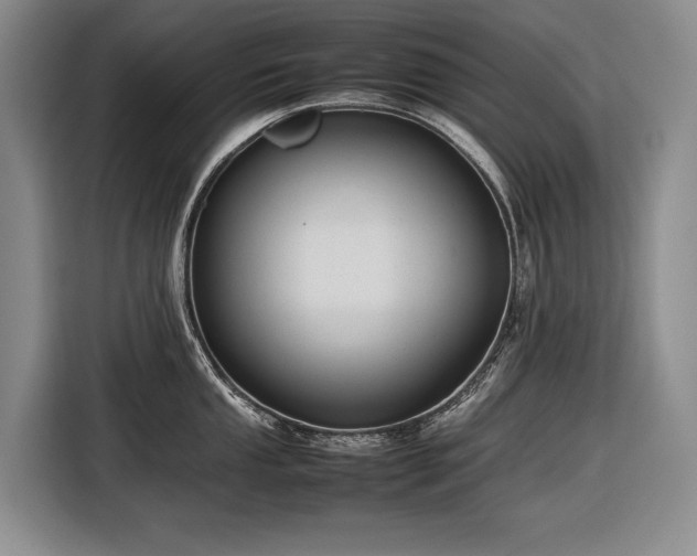 X0000116881053200912221422