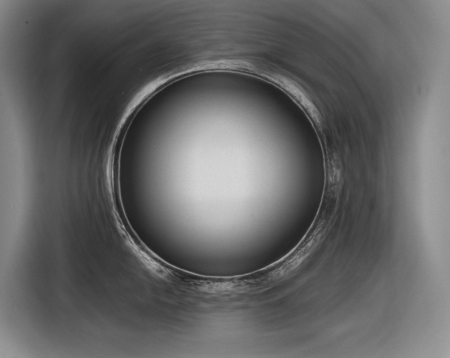 X0000116881054200912221422