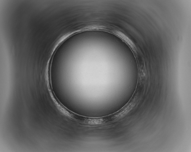 X0000116881055200912221422